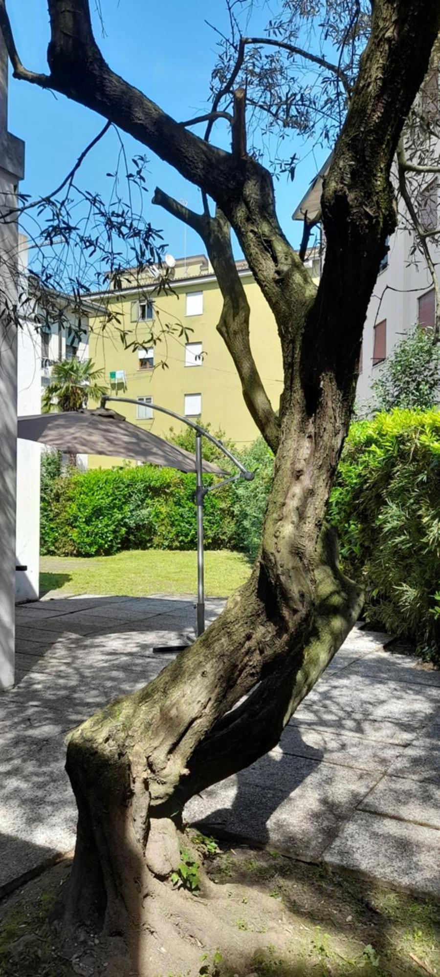 Villa Andrea Mestre Buitenkant foto